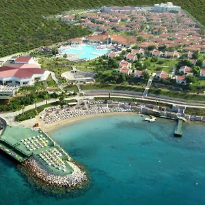 Resort Palm Wings